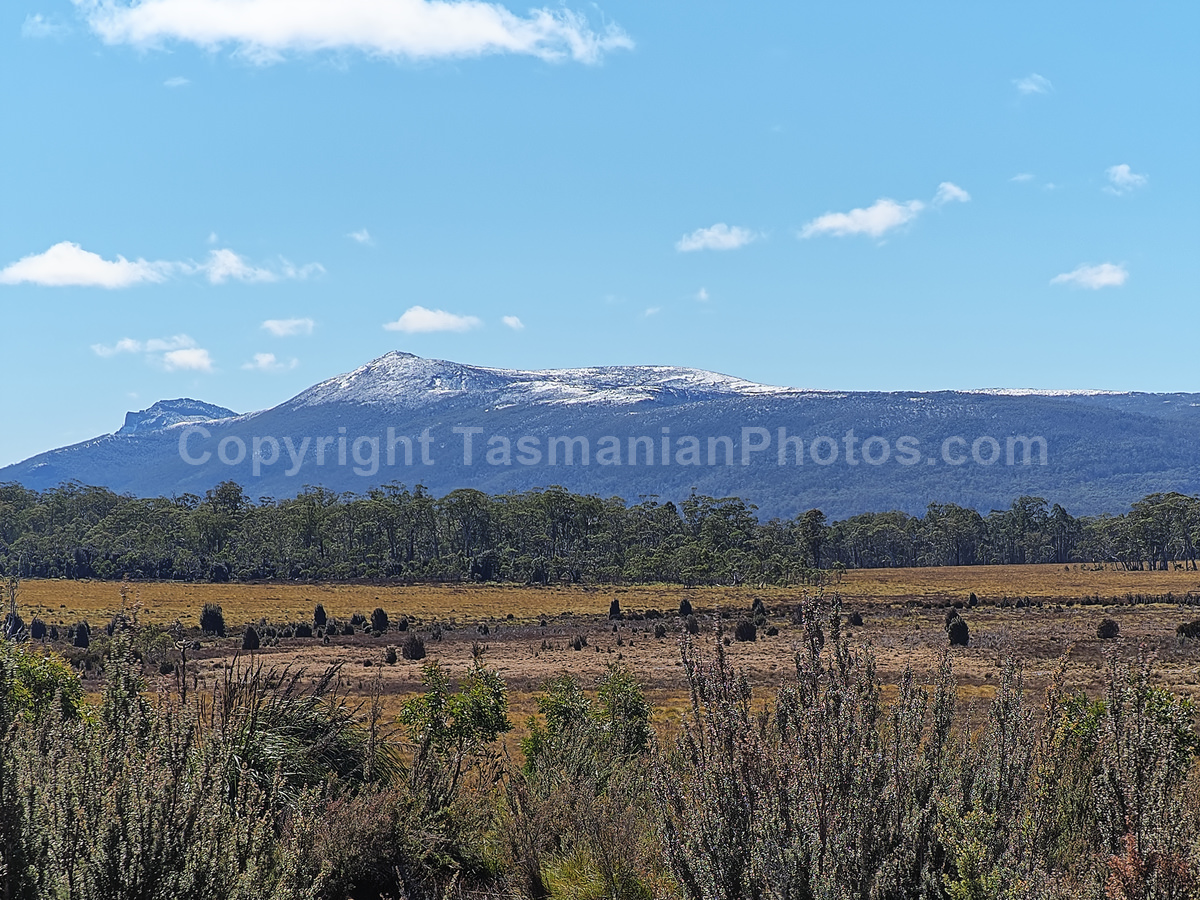 View from the Lyell Highway on the West Coast, Tasmania. (martin chambers: tasmanianphotos.com) (06/10/20) : Lyell-Highway-Landscape-Tasmania_20201006-215922