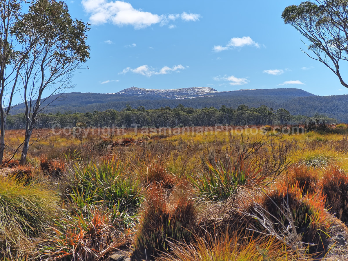 View from the Lyell Highway on the West Coast, Tasmania. (martin chambers: tasmanianphotos.com) (06/10/20) : Lyell-Highway-Landscape-Tasmania_20201006-215932