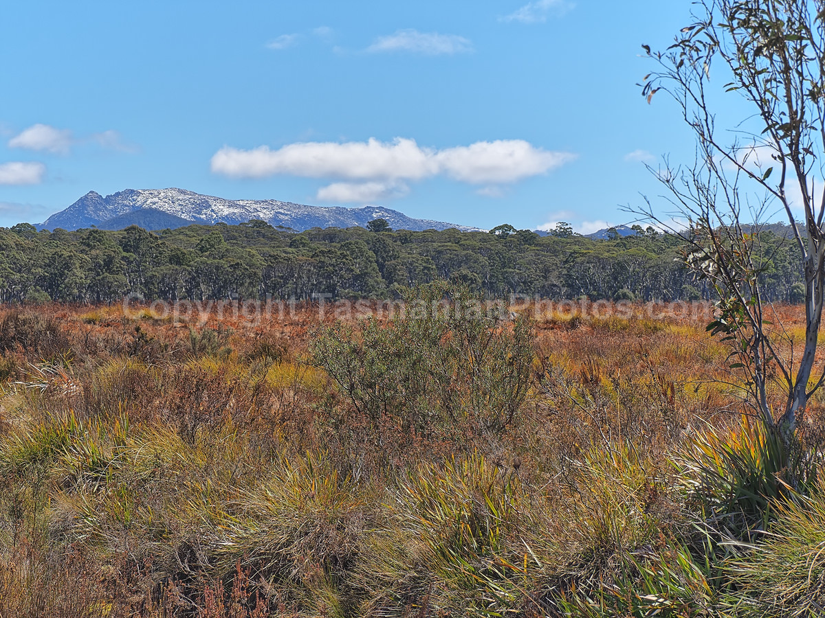 View from the Lyell Highway on the West Coast, Tasmania. (martin chambers: tasmanianphotos.com) (06/10/20) : Lyell-Highway-Landscape-Tasmania_20201006-215939