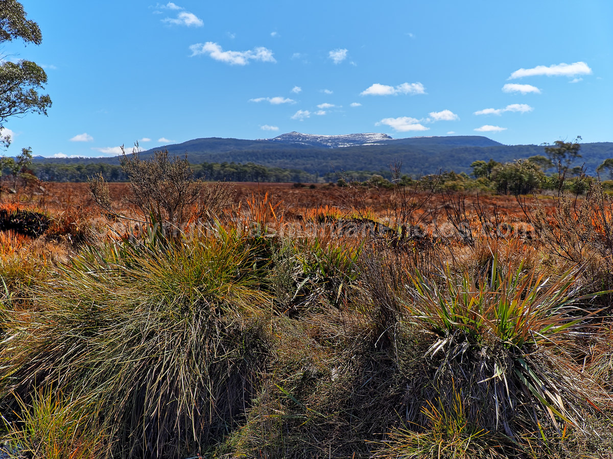 View from the Lyell Highway on the West Coast, Tasmania. (martin chambers: tasmanianphotos.com) (06/10/20) : Lyell-Highway-Landscape-Tasmania_20201006-215952
