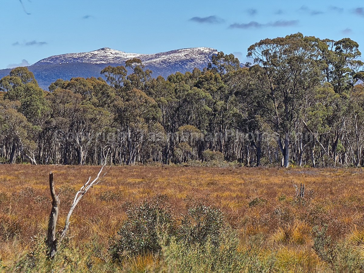 View from the Lyell Highway on the West Coast, Tasmania. (martin chambers: tasmanianphotos.com) (06/10/20) : Lyell-Highway-Landscape-Tasmania_20201006-220023