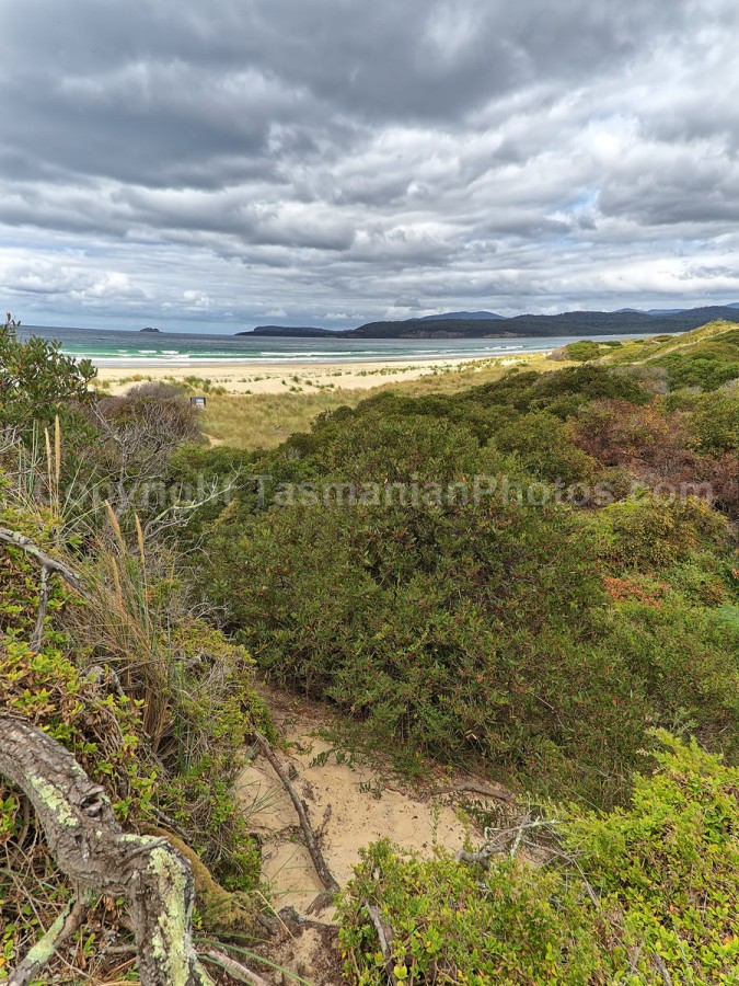 Looking over the beach at Marion Bay, Tasmania.  (martin chambers: tasmanianphotos.com) (08/03/20) : Marion-Bay-Sand-Dunes-Tasmania_20200308-194853