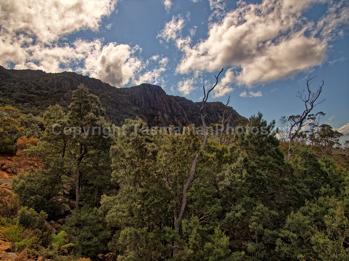 The Meander Valley,Tasmania. (martin chambers: tasmanianphotos.com) (02/10/20) : Meander-Valley-Tasmania_20201002-085920