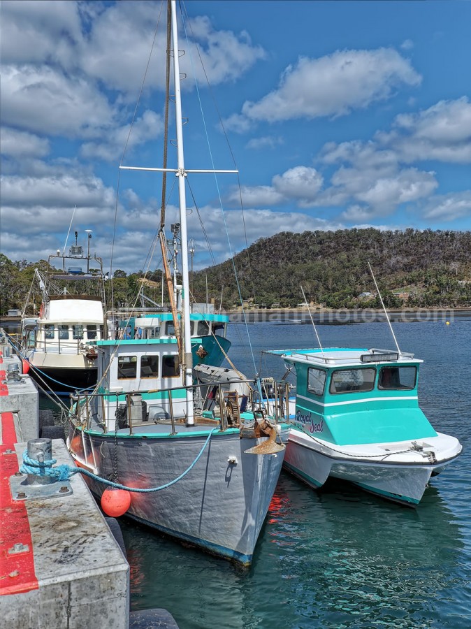 Nubeena Jetty in Parsons Bay on the Tasman Peninsula.  (martin chambers: tasmanianphotos.com) (09/02/20) : Nubeena-Jetty-Tasmania_20200209-200000
