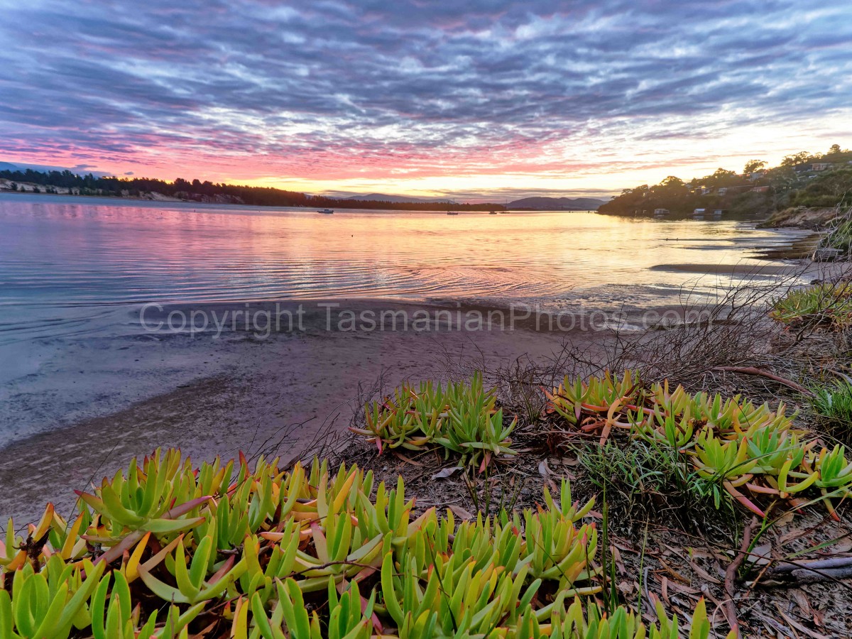 Okines Beach in Lewisham. Tasman Peninsula, Tasmania. (martin chambers: tasmanianphotos.com) (22/05/22) : Okines-Beach-Lewisham-Tasmania_20220522-165854