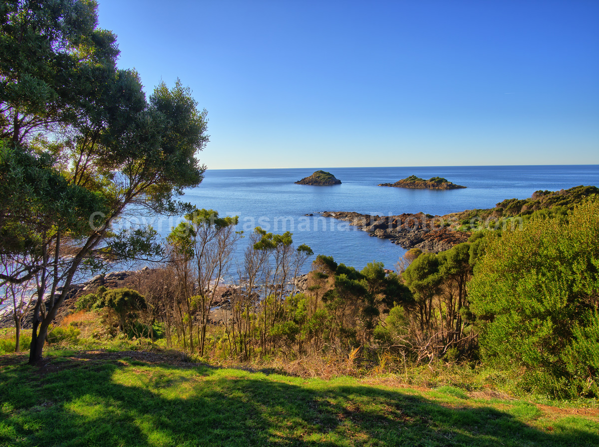 View along the Old Coast Road between Ulverstone and Penguin, Tasmania. (martin chambers: tasmanianphotos.com) (22/06/19) : Old-Coast-Road-Penguin-Tasmania_20190622-204955