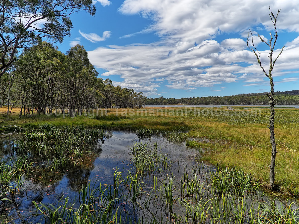 Penstock Lagoon in the Central Highlands,Tasmania. (martin chambers: tasmanianphotos.com) (20/02/21) : Penstock-Lagoon-Tasmania_20210220-110513