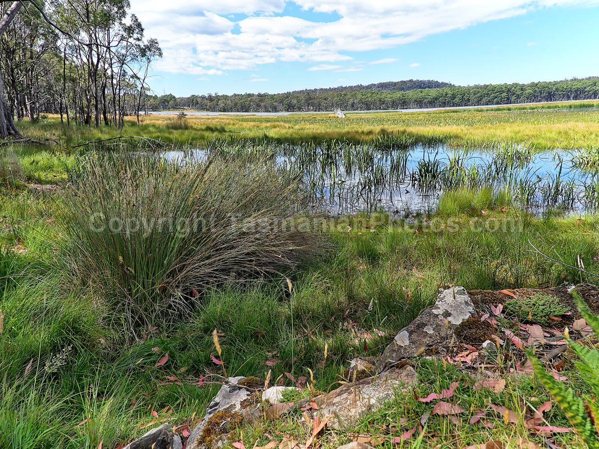 Penstock Lagoon in the Central Highlands,Tasmania. (martin chambers: tasmanianphotos.com) (20/02/21) : Penstock-Lagoon-Tasmania_20210220-110525