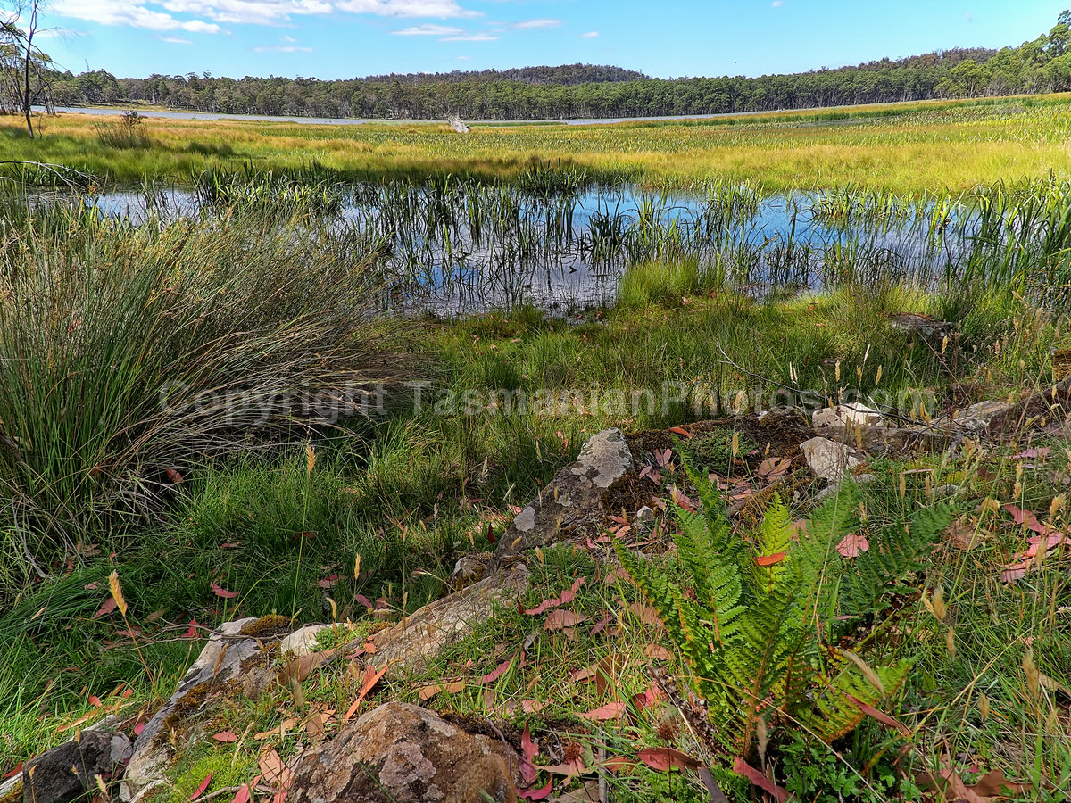 Penstock Lagoon in the Central Highlands,Tasmania. (martin chambers: tasmanianphotos.com) (20/02/21) : Penstock-Lagoon-Tasmania_20210220-110533