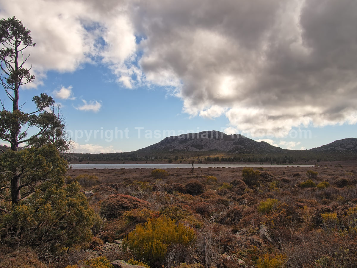 Pine Lake on the Central Plateau,Tasmania. (martin chambers: tasmanianphotos.com) (02/10/20) : Pine-Lake-Tasmania_20201002-085951