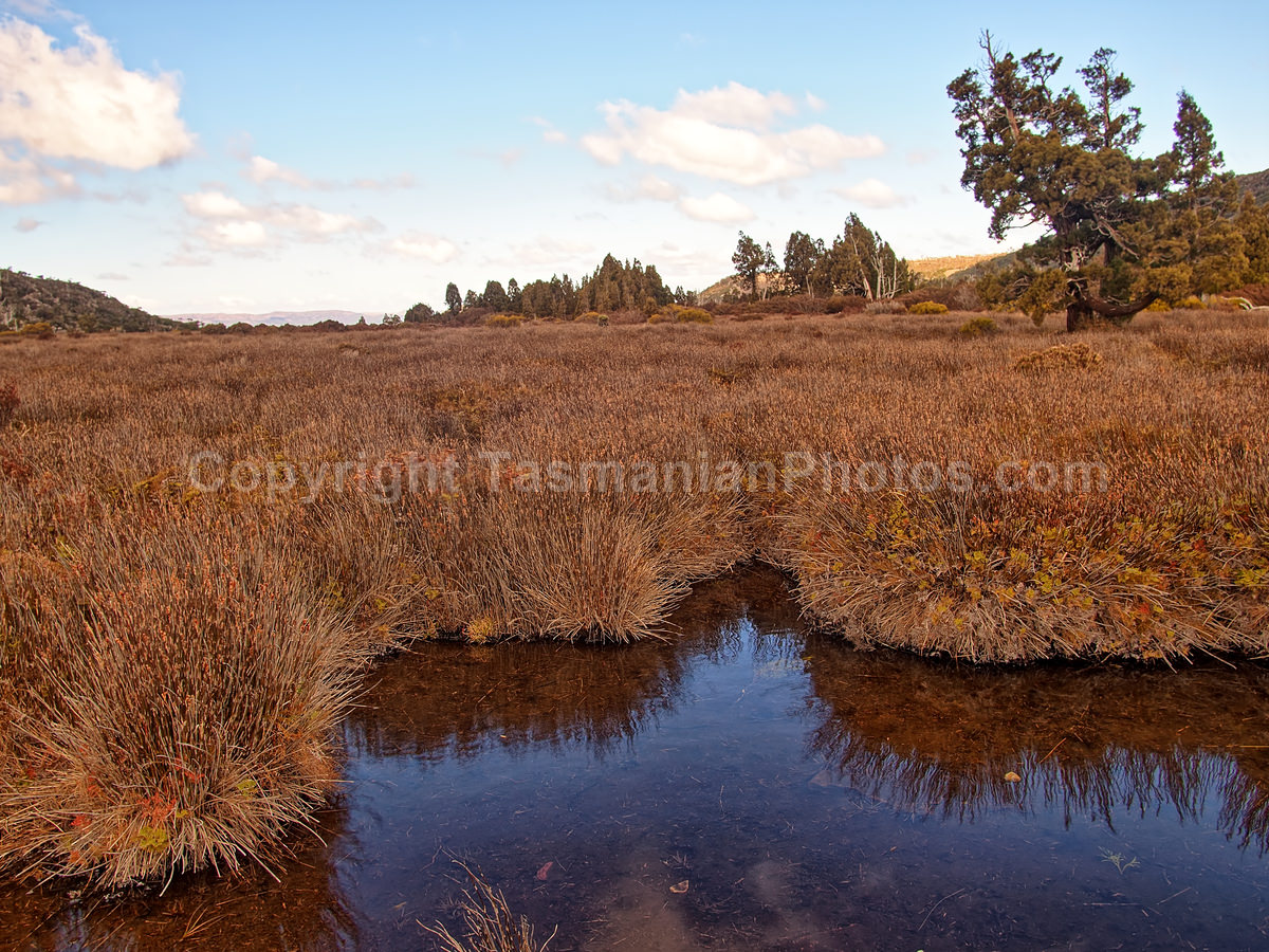 Pine Lake on the Central Plateau,Tasmania. (martin chambers: tasmanianphotos.com) (02/10/20) : Pine-Lake-Tasmania_20201002-090036