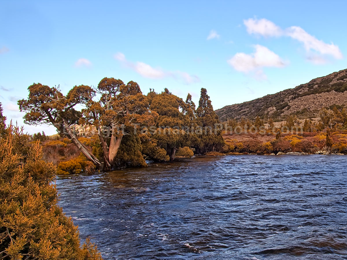 Pine Lake on the Central Plateau,Tasmania. (martin chambers: tasmanianphotos.com) (02/10/20) : Pine-Lake-Tasmania_20201002-090049