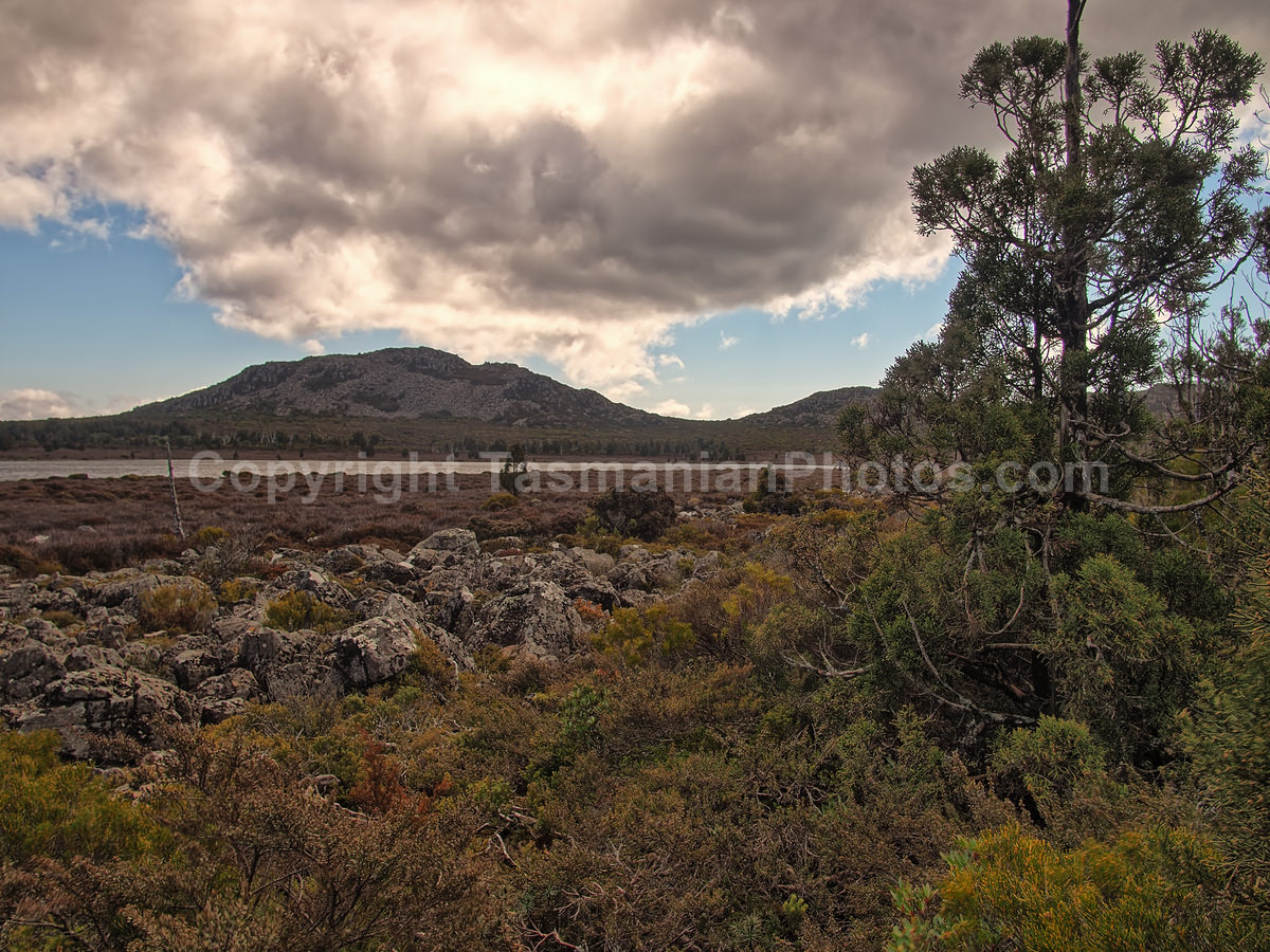 Pine Lake on the Central Plateau,Tasmania. (martin chambers: tasmanianphotos.com) (02/10/20) : Pine-Lake-Tasmania_20201002-090147