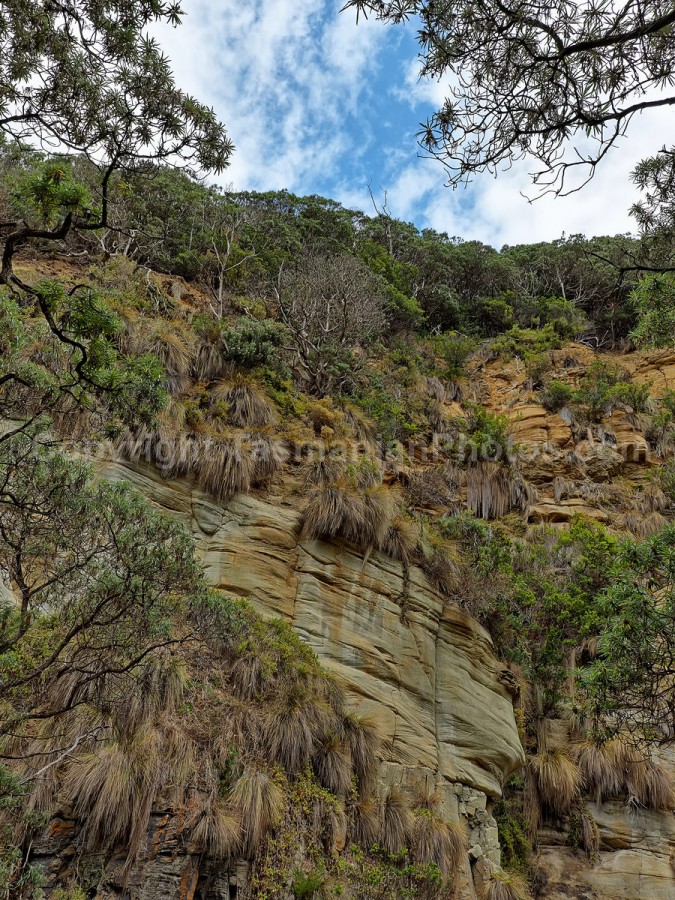 Remarkable Caves Walking Track, Port Arthur, Tasman National Park in Tasmania.  (martin chambers: tasmanianphotos.com) (09/02/20) : Remarkable-Caves-Tasmania_20200209-084749