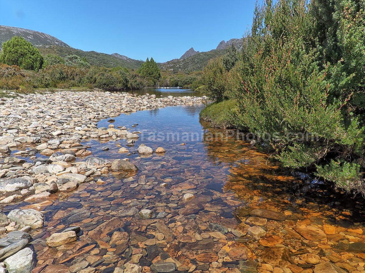 Ronny Creek Area at Cradle Mountain. Cradle Mountain Lake St Clair National Park. (martin chambers: tasmanianphotos.com) (21/02/21) : Ronny-Creek-Area-Tasmania_20210221-175358