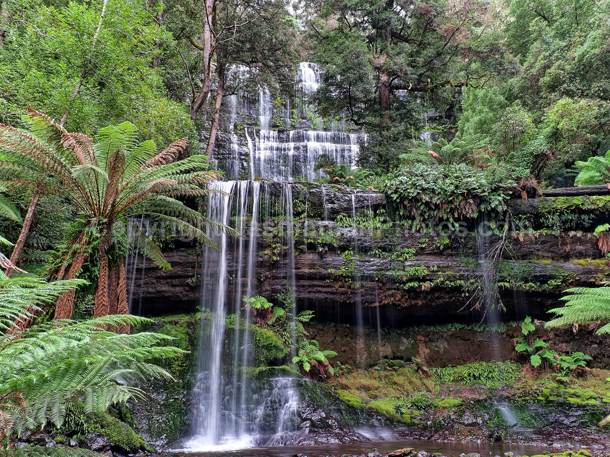 Russell Falls in the Mount Field National Park. Tasmania. (martin chambers: tasmanianphotos.com) (09/05/21) : Russell-Falls-Tasmania_20210509-150650