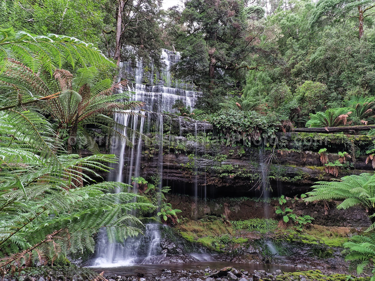 Russell Falls in the Mount Field National Park. Tasmania. (martin chambers: tasmanianphotos.com) (09/05/21) : Russell-Falls-Tasmania_20210509-150657