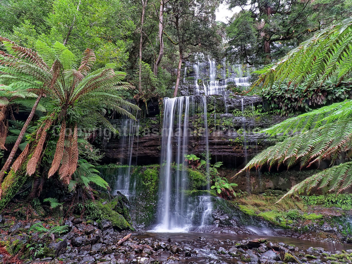 Russell Falls in the Mount Field National Park. Tasmania. (martin chambers: tasmanianphotos.com) (09/05/21) : Russell-Falls-Tasmania_20210509-150708