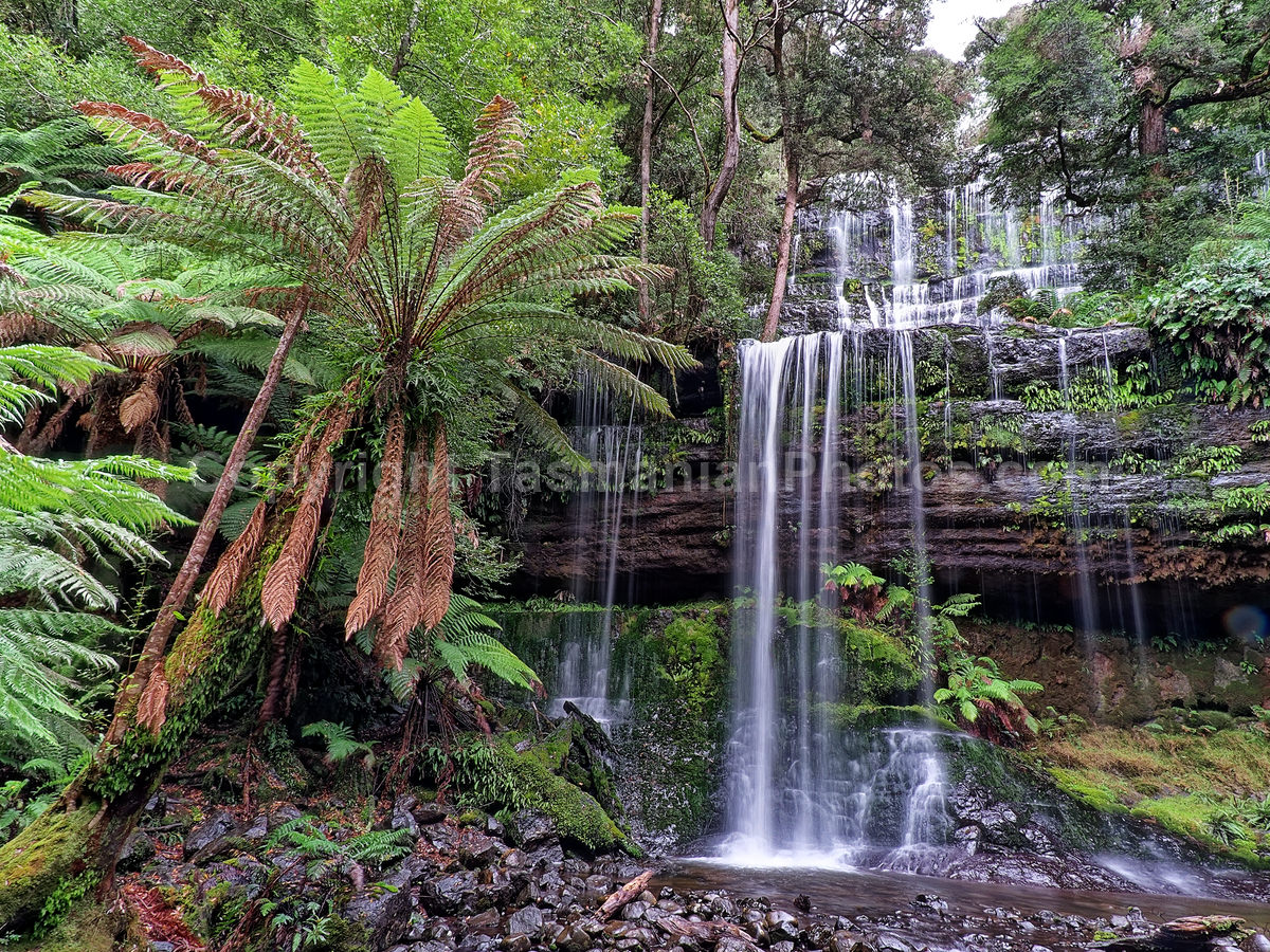 Russell Falls in the Mount Field National Park. Tasmania. (martin chambers: tasmanianphotos.com) (09/05/21) : Russell-Falls-Tasmania_20210509-150717