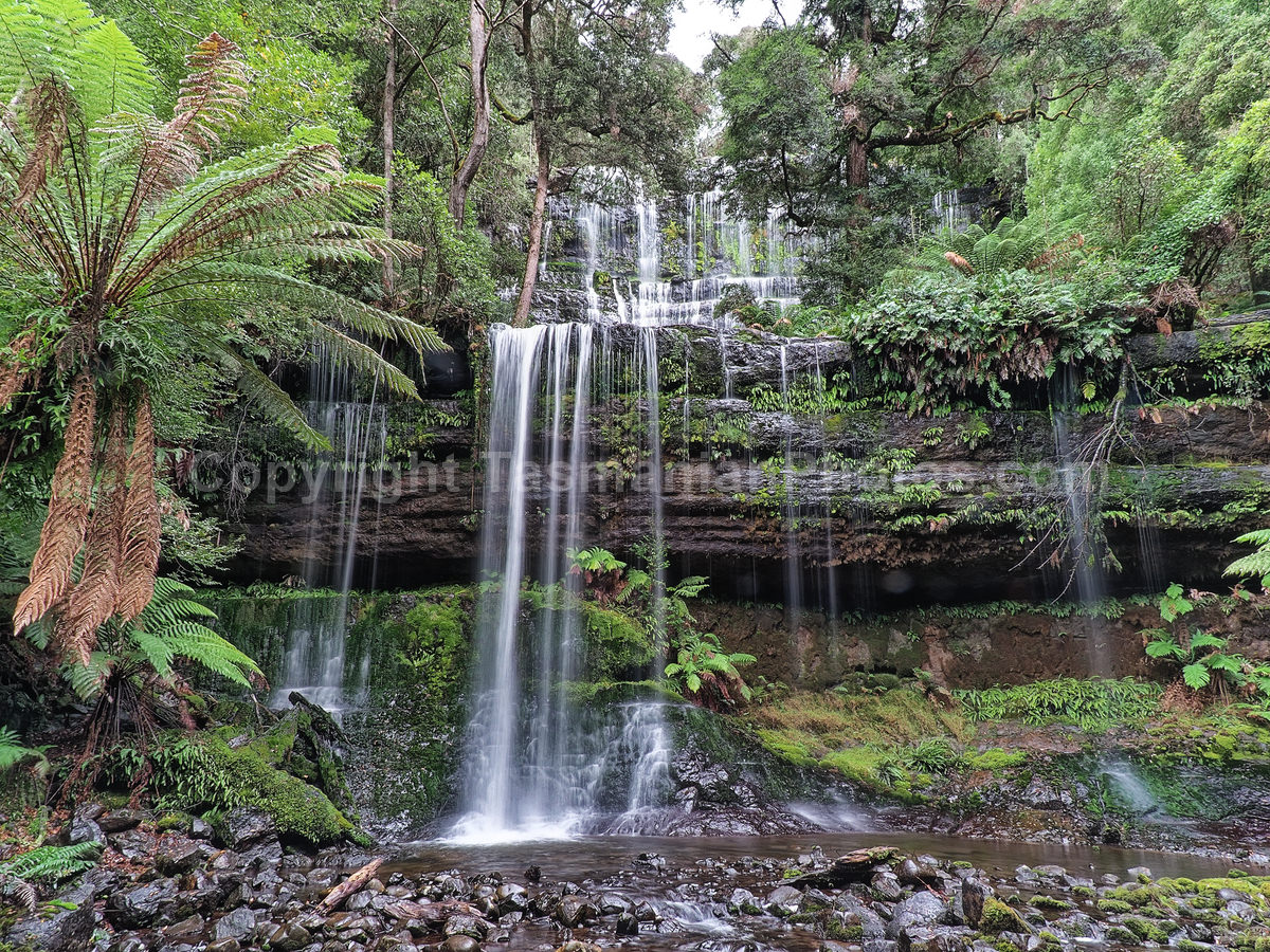 Russell Falls in the Mount Field National Park. Tasmania. (martin chambers: tasmanianphotos.com) (09/05/21) : Russell-Falls-Tasmania_20210509-150726