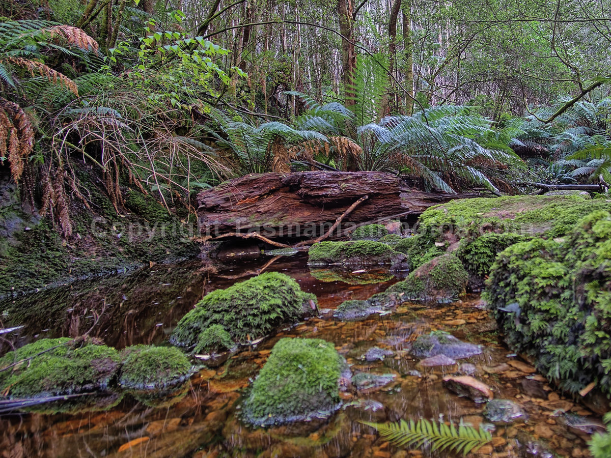 Snug Falls, Tasmania. (martin chambers: tasmanianphotos.com) (02/08/20) : Snug-Falls-Tasmania_20200802-171821