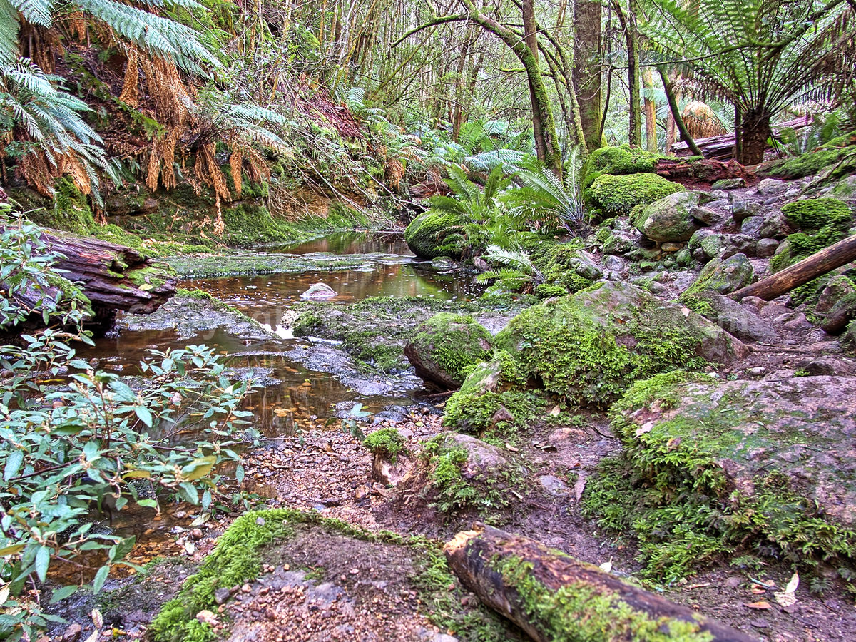 Snug Falls, Tasmania. (martin chambers: tasmanianphotos.com) (02/08/20) : Snug-Falls-Tasmania_20200802-171850