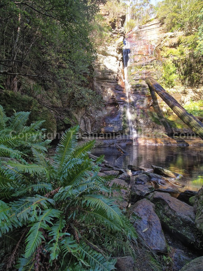Snug Falls, Tasmania. (martin chambers: tasmanianphotos.com) (02/08/20) : Snug-Falls-Tasmania_20200802-172004