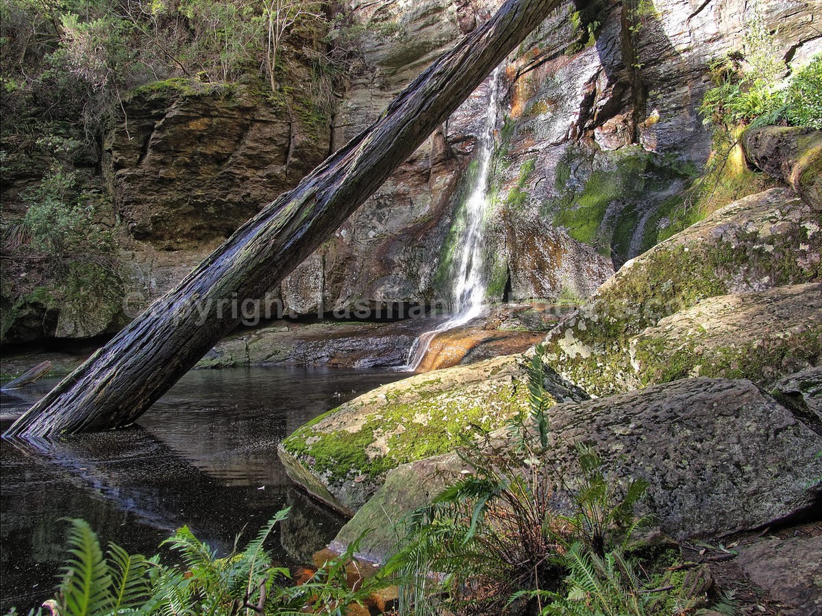 Snug Falls, Tasmania. (martin chambers: tasmanianphotos.com) (02/08/20) : Snug-Falls-Tasmania_20200802-172133