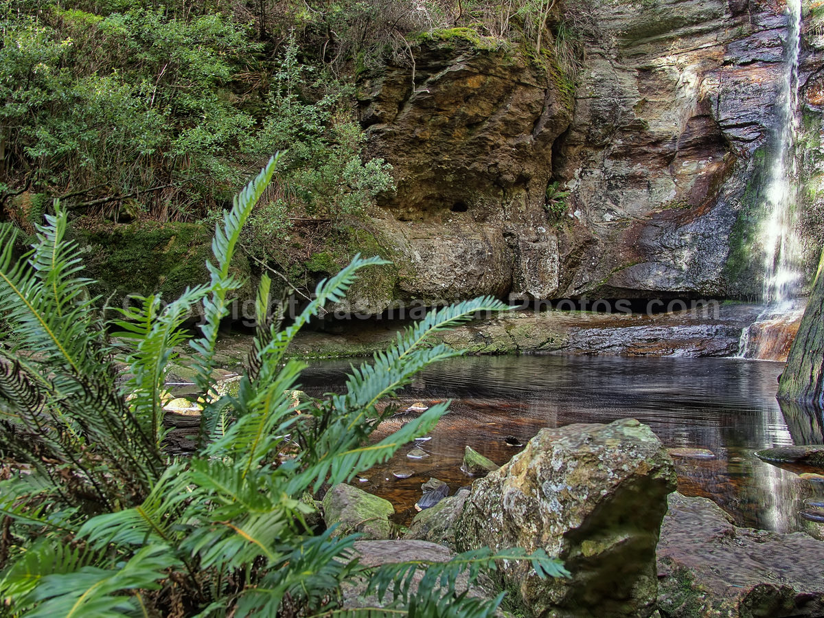Snug Falls, Tasmania. (martin chambers: tasmanianphotos.com) (02/08/20) : Snug-Falls-Tasmania_20200802-172156