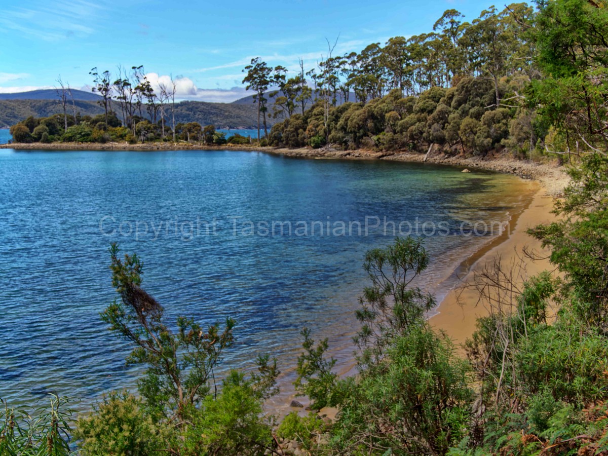 Stewarts Bay Nature Walk looking across Ladies Bay, Tasmania. (martin chambers: tasmanianphotos.com) (28/12/21) : Stewarts-Bay-Ladies-Bay-Tasmania_20211228-111727