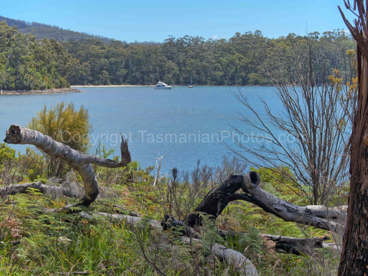 Stewarts Bay, Tasmania. (martin chambers: tasmanianphotos.com) (28/12/21) : Stewarts-Bay-Tasmania_20211228-112500