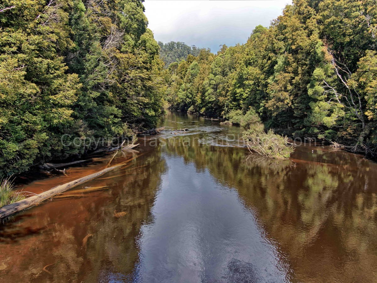 Wilderness river on the West Coast of Tasmania. (martin chambers: tasmanianphotos.com) (08/10/22) : The-Tarkine-Tasmania_20221008-114129