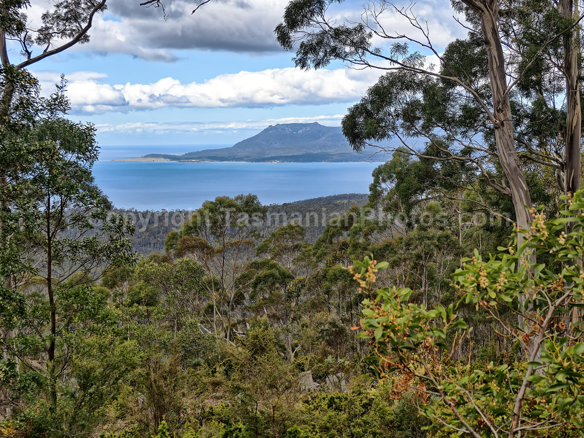 View from Three Thumbs Lookout (Orford) on the East Coast of Tasmania. (martin chambers: tasmanianphotos.com) (09/10/19) : Three-Thumbs-Lookout-Tasmania_20191009-203753