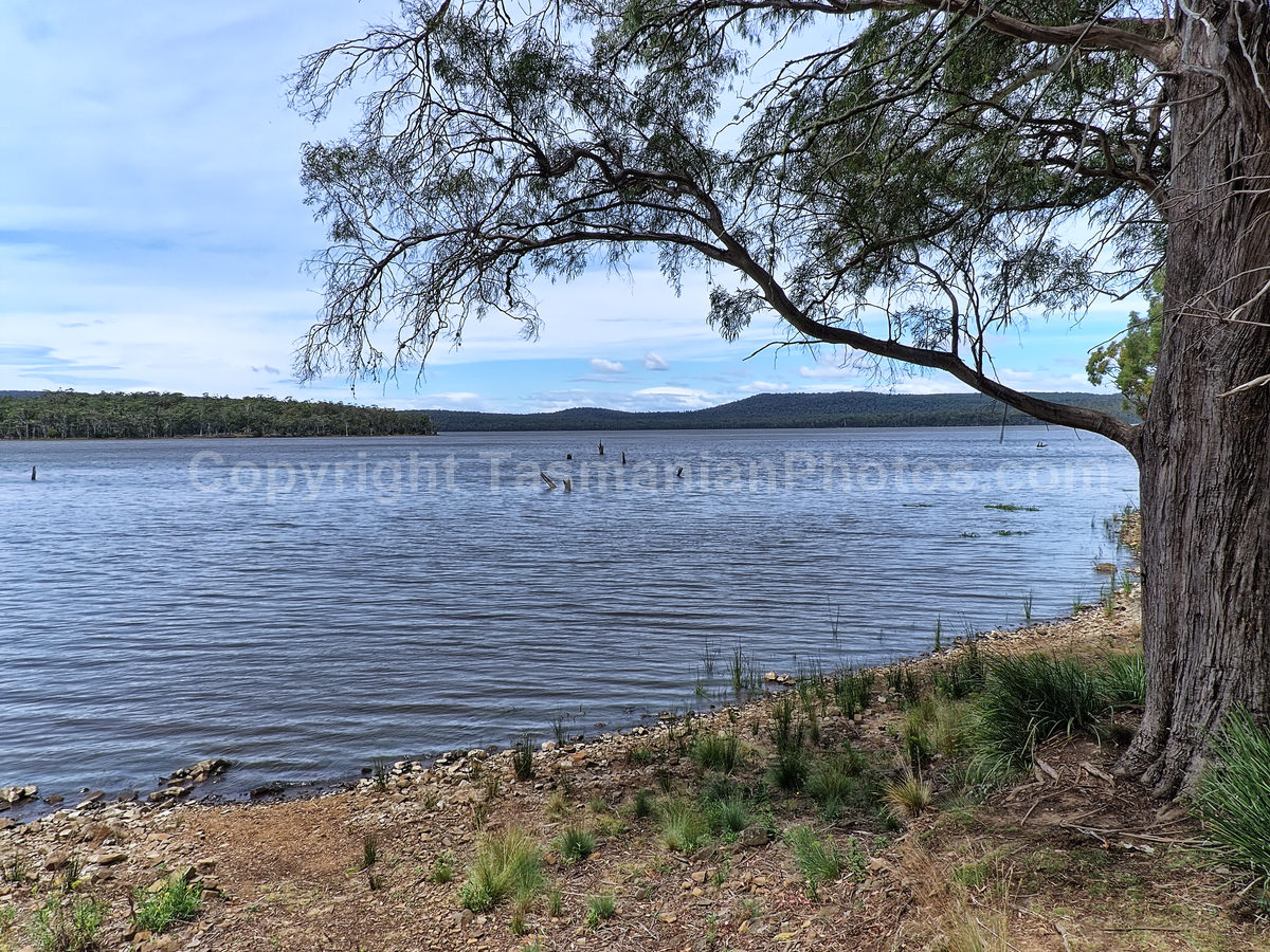Tooms Lake in Southern Tasmania. (martin chambers: tasmanianphotos.com) (22/01/21) : Tooms-Lake-Tasmania_20210122-144940
