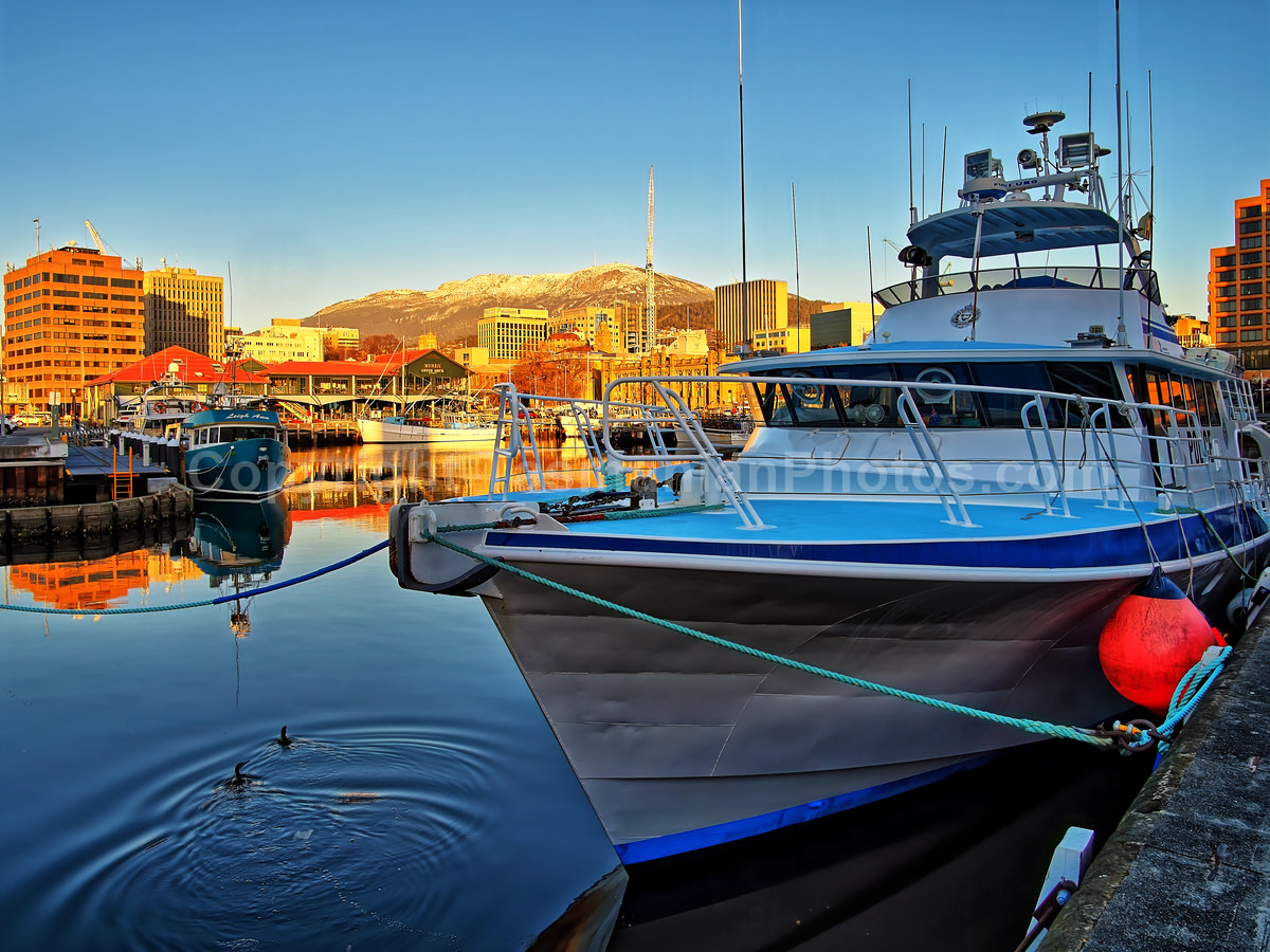 Victoria Dock at Sunrise. Hobart, Tasmania.  (martin chambers: tasmanianphotos.com) (23/08/19) : Victoria-Dock-Hobart-Tasmania_20190823-202433