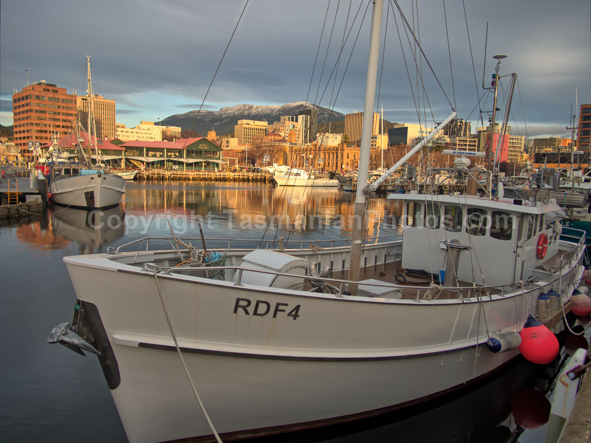 Victoria Dock in Winter. Hobart, Tasmania.  (martin chambers: tasmanianphotos.com) (18/08/21) : Victoria-Dock-Hobart-Tasmania_20210818-144854