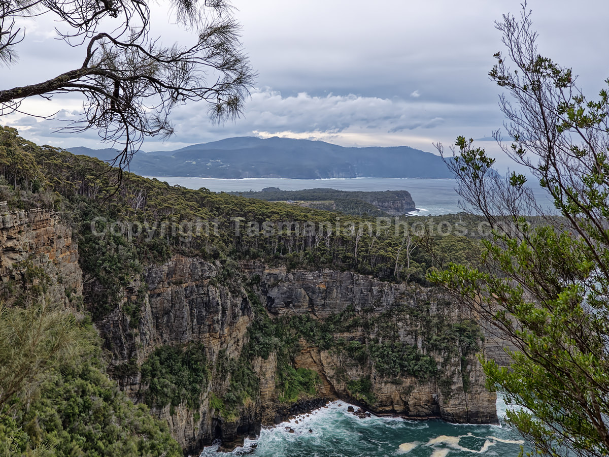 Waterfall Bay Track, Tasman National Park, Tasmania. (martin chambers: tasmanianphotos.com) (30/09/20) : Waterfall-Bay-Track-Tasmania_20200930-220711
