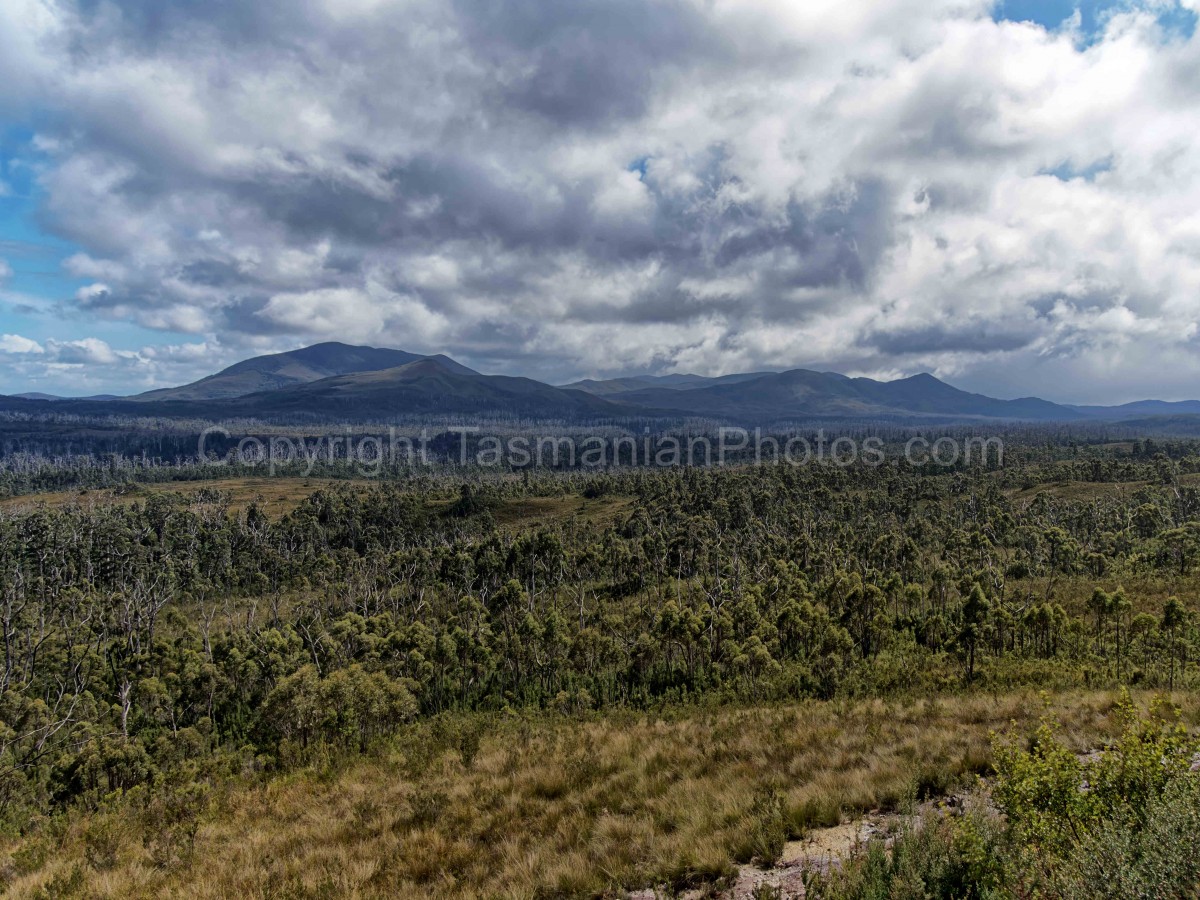 View from Norfolk Road heading towards Corrina, West Coast of Tasmania. (martin chambers: tasmanianphotos.com) (08/10/22) : West-Coast-Corrina-Tasmania_20221008-112307