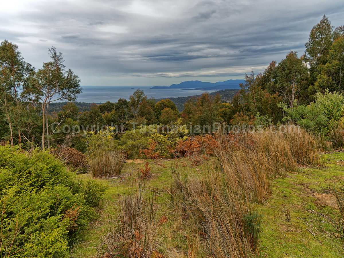 Wielangta Road looking towards Marion Bay. (martin chambers: tasmanianphotos.com) (28/09/21) : Wielangta-State-Forest-Tasmania_20210928-164003