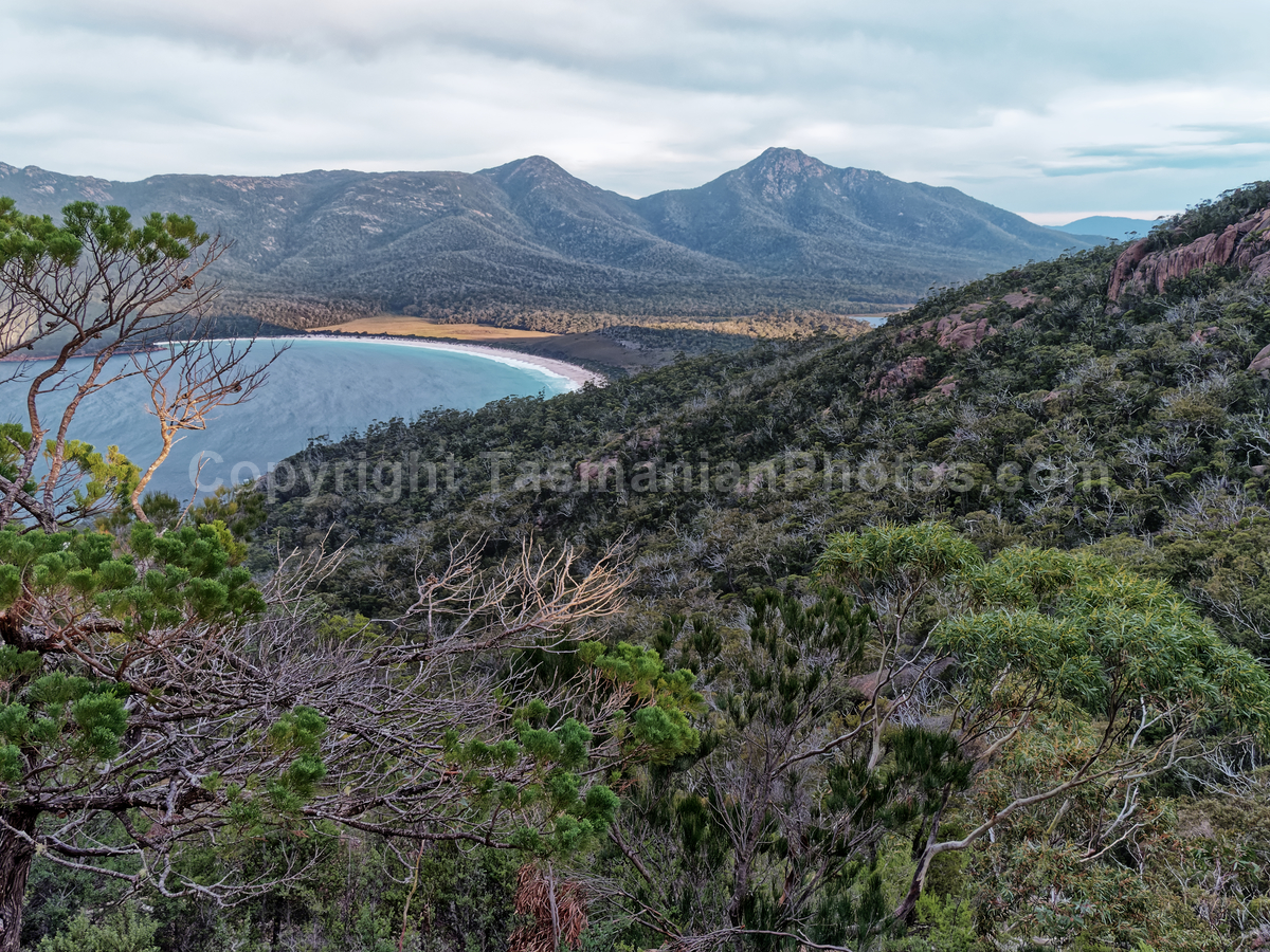 View from Wineglass Bay Lookout, Freycinet, Tasmania. (martin chambers: tasmanianphotos.com) (12/07/21) : Wineglass-Bay-Lookout-Tasmania_20210712-150439